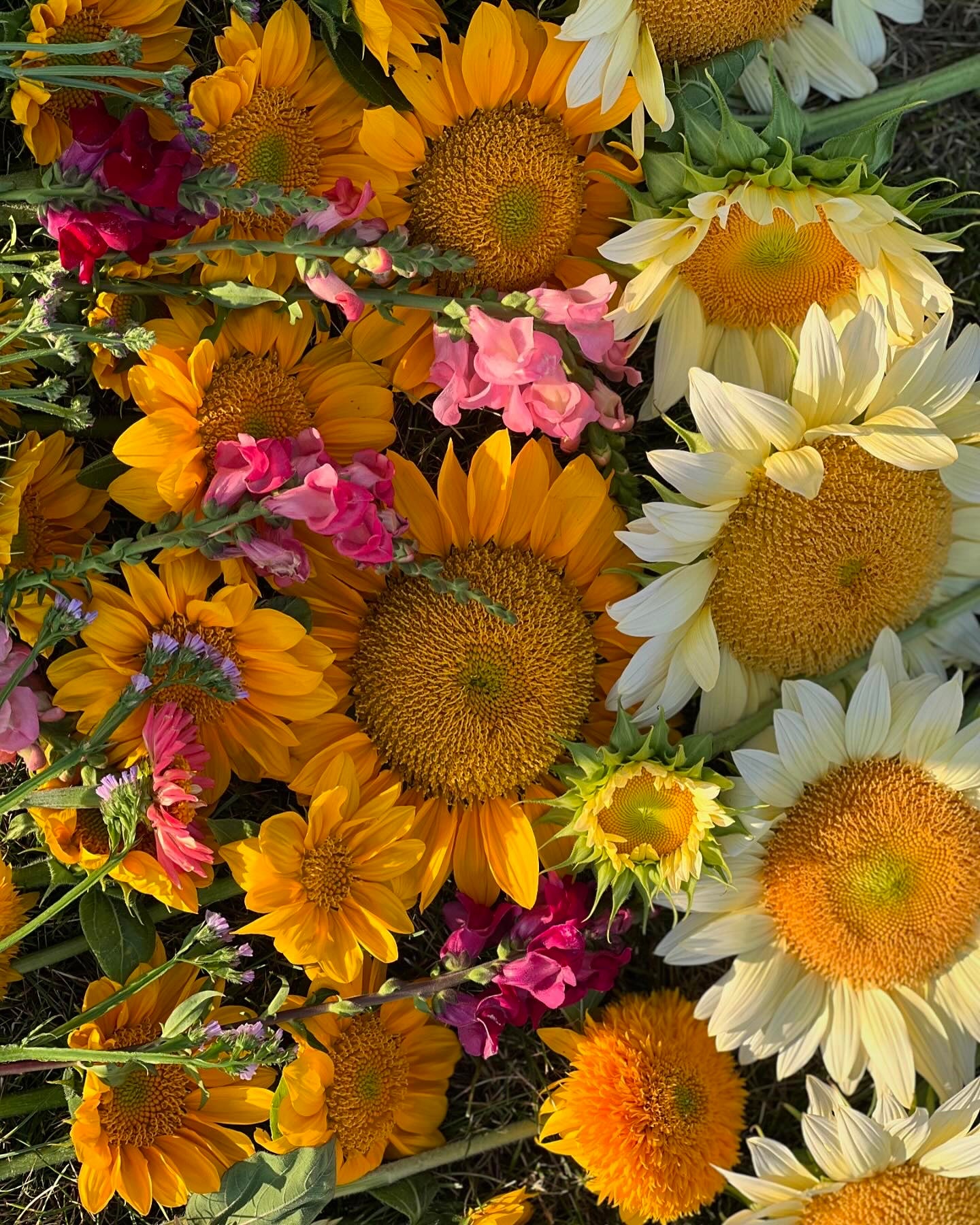 2025 Summer WEEKLY Bouquet Subscription